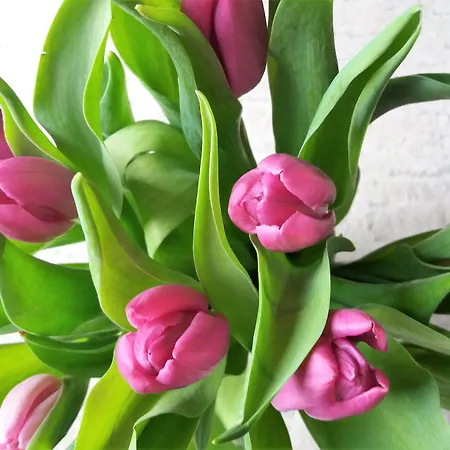 Gaestehaus Am Hochsimmer 3* Ettringen (Rhineland-Palatinate)