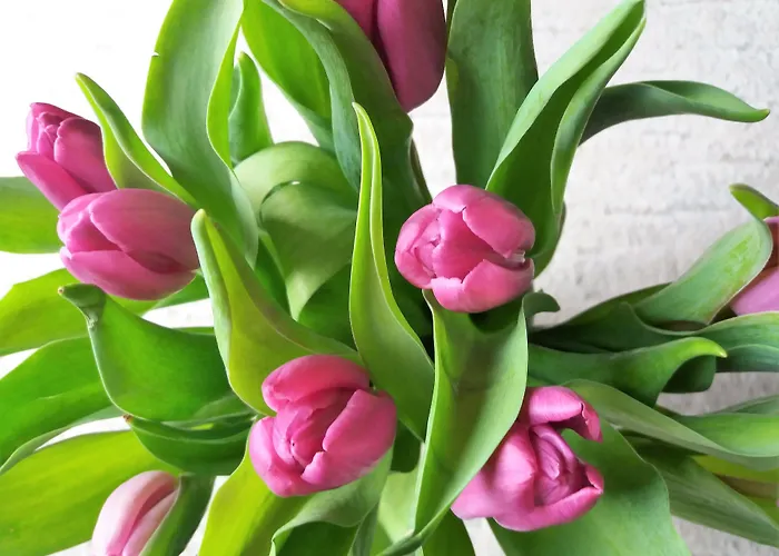 Gaestehaus Am Hochsimmer 3* Ettringen (Rhineland-Palatinate)