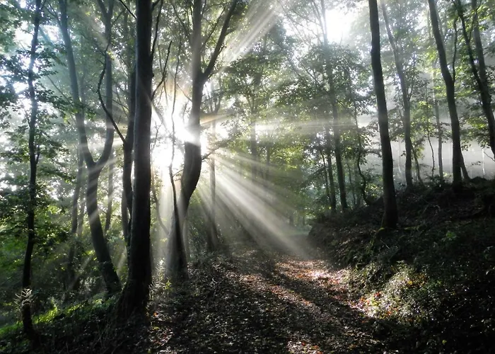 Gaestehaus Am Hochsimmer 3* Ettringen (Rhineland-Palatinate)