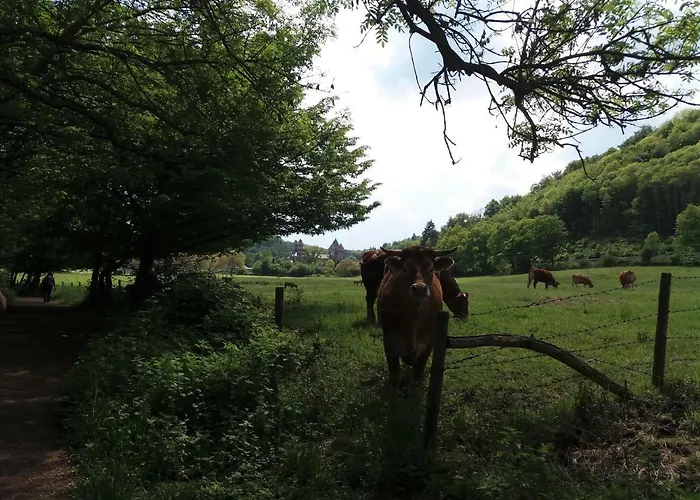 Gaestehaus Am Hochsimmer Nocleg ze śniadaniem
